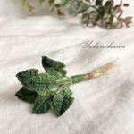 ブローチ～ほうれん草〜