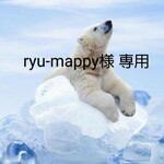 ryu-mappy様 専用