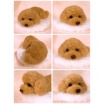 ご注文品【ねむねむ❤︎*.(´͈꒳`͈).*❤︎プー】トイプードルミニチュア　ハンドメイド犬雑貨