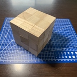 立方体パズル　〜シュタインハウスキューブ〜