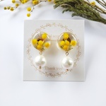 レジン🌼ミモザとコットンパールピアス