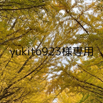  🌿天然石浄化セット🌿　水晶とモリオン　　空間浄化