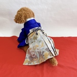 犬の袴✨本格着物&袴セット 京都西陣織金襴 牡丹鳳凰 わんこ着物 犬服