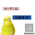 S様専用ページ