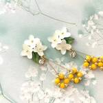 白い沈丁花とミモザのピアス・イヤリング　〜春の風と香り〜