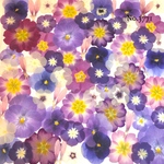 ♡new♡作家様必見♡押し花MIXセット♡押し花セット
