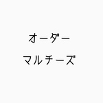 オーダー品　マルチーズ
