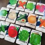 ＊お野菜とメロンの種袋set＊