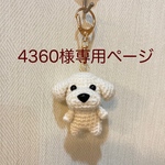 【4360様専用】編みぐるみ犬キーホルダー:トイプードル