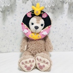 犬用❤︎顔出しシリーズ❤︎ひな祭りリース❤︎女雛
