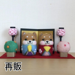 [再販] 柴犬だるま🎎お雛様
