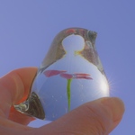 幸せを運ぶ " 福どり " サーモンピンク