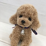 ポージングは任せて^_^トイプードルあみぐるみ