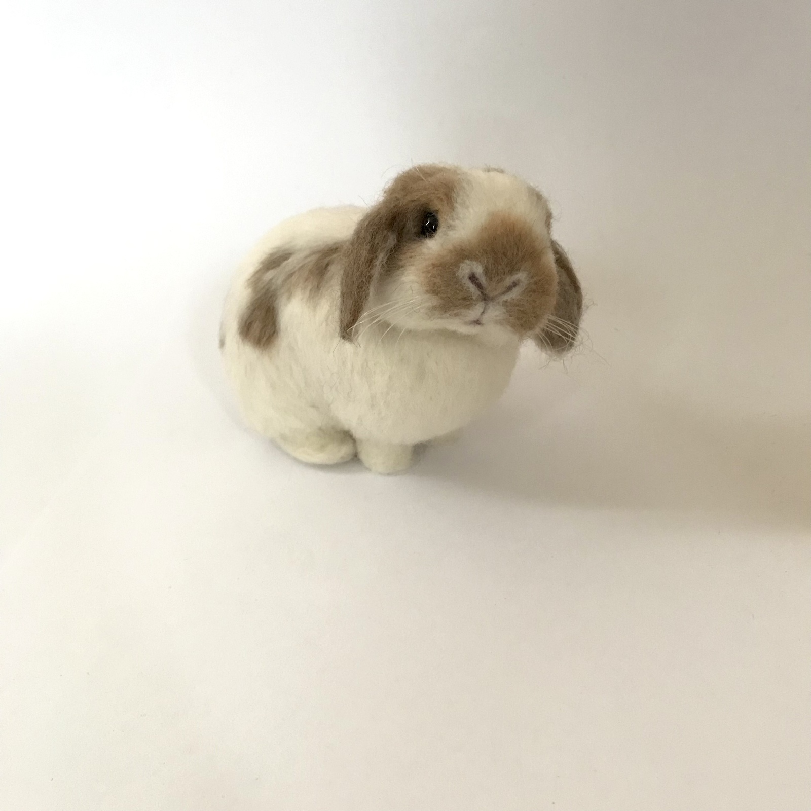 うさぎ 羊毛フェルト ロップイヤー ホーランドロップ ミニうさぎ