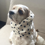 春ニット★星柄★ホワイトブラック　犬用スヌード　中型犬用スヌード