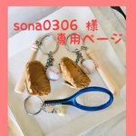 専用ページ