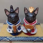 お雛様★甲斐犬