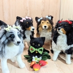 シェルティ、黒猫ちゃんぬいぐるみ＆マスクケース🌸