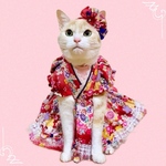 送料無料☆彡パフスリーブ風和柄ワンピース〜猫のワンピース