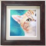 チラ見猫１（原画）　額装込み