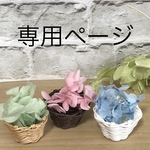 こにちゃんさま専用ページ
