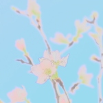 kakitsubata様専用