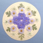 押し花セットG＜組み立てのお花2種＆レースフラワー他＞