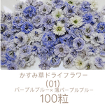 (01)かすみ草ドライフラワー100粒