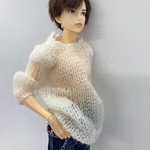 透けニット momoko、六分の一男子図鑑サイズ 　
