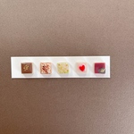 ⋆⸜送料無料⸝⋆ チョコみたいな美濃焼タイルﾋﾟｱｽ/ｲﾔﾘﾝｸﾞ/マグネット/画鋲