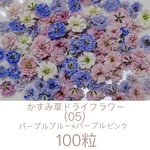 NO.2  かすみ草約100粒