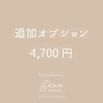 追加オプション（4,700円）