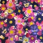 ♡new♡作家様必見♡押し花MIXセット♡押し花セット