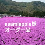 asamiapple様オーダー品