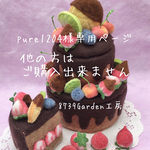 🍒2段フルーツ飾りのチョコケーキA-20