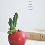 タニクアップル！？ 赤いリンゴとサボテンと多肉植物　フェイクグリーン　アーティフィシャルフラワー