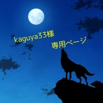 kaguya33様　専用ページ