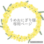 うめおにぎり様専用ページ