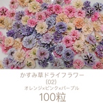 (02)かすみ草ドライフラワー100粒