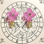 紫陽花の雨雫イヤリング