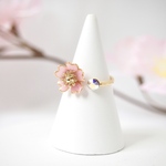 桜花