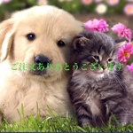 (momo 11041108様専用)🌺モンステラと海亀のトートバック