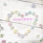 専用品