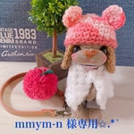 mmym-n様専用✩.*˚ソックアニマル(A527、A530)