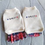 犬服！チェックロゴ重ね着