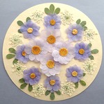押し花セットG＜組み立てのお花2種＆レースフラワー他＞