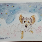 【0817minto様オーダー品】愛犬イラスト