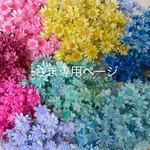 t様　専用ページ