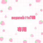 meganebito7様専用