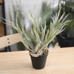 フェイクグリーン ビカクシダ ポット 32cm 光触媒加工 人工観葉植物 室内インテリア オフィス